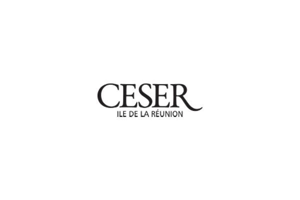 Logo Conseil Economique Social Environnemental Régional