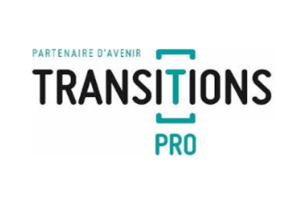 Logo Transitions Pro