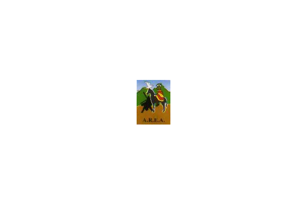 Logo Amitiés Réunion Espagne Amérique hispanique